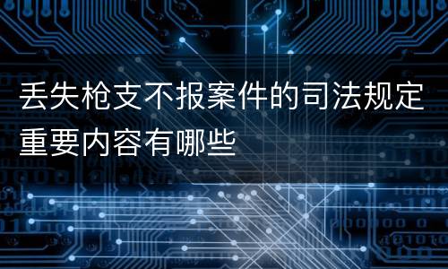 丢失枪支不报案件的司法规定重要内容有哪些