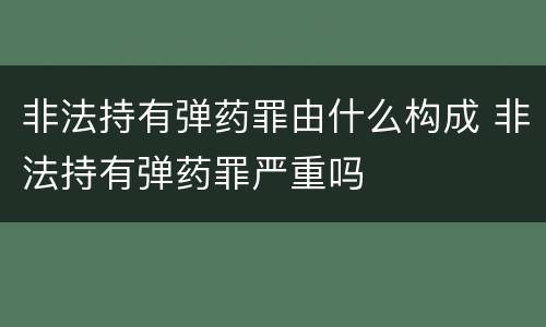 非法持有弹药罪由什么构成 非法持有弹药罪严重吗