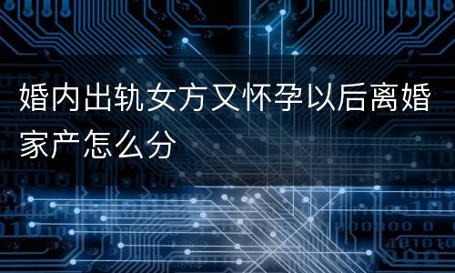 婚内出轨女方又怀孕以后离婚家产怎么分