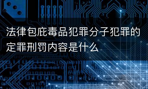 法律包庇毒品犯罪分子犯罪的定罪刑罚内容是什么