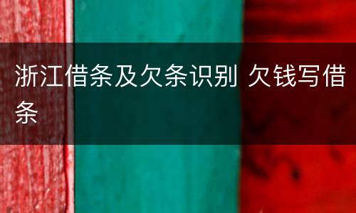 浙江借条及欠条识别 欠钱写借条