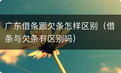 广东借条跟欠条怎样区别（借条与欠条有区别吗）