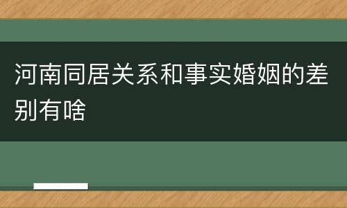 河南同居关系和事实婚姻的差别有啥