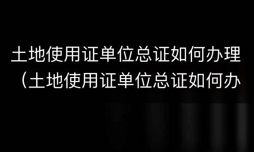 土地使用证单位总证如何办理（土地使用证单位总证如何办理过户）
