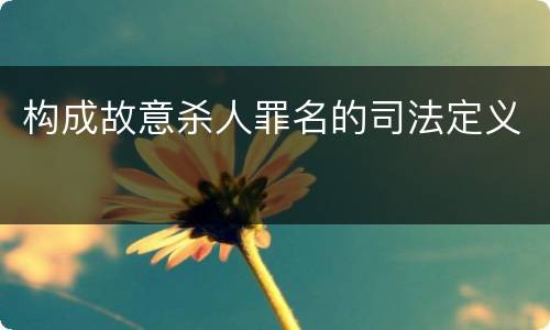 构成故意杀人罪名的司法定义