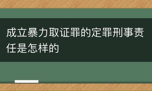 成立暴力取证罪的定罪刑事责任是怎样的