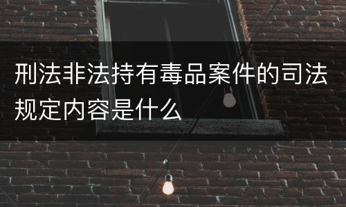 刑法非法持有毒品案件的司法规定内容是什么