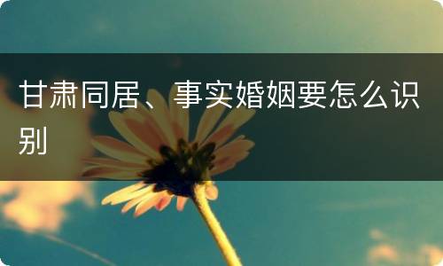 甘肃同居、事实婚姻要怎么识别