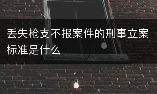丢失枪支不报案件的刑事立案标准是什么