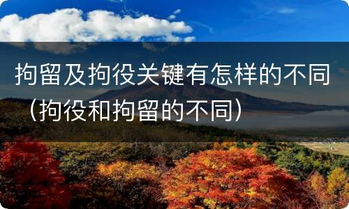 拘留及拘役关键有怎样的不同（拘役和拘留的不同）