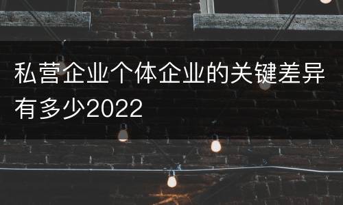 私营企业个体企业的关键差异有多少2022