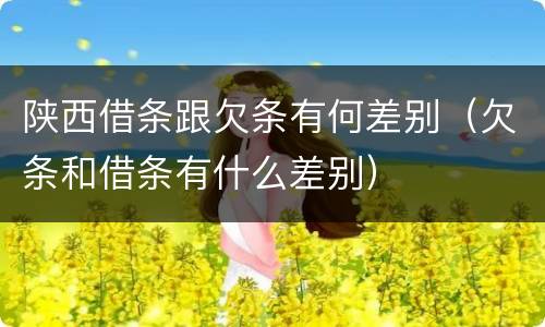 陕西借条跟欠条有何差别（欠条和借条有什么差别）