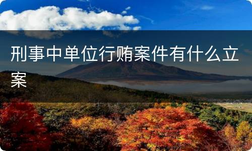 刑事中单位行贿案件有什么立案