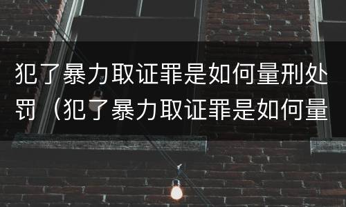 犯了暴力取证罪是如何量刑处罚（犯了暴力取证罪是如何量刑处罚的）