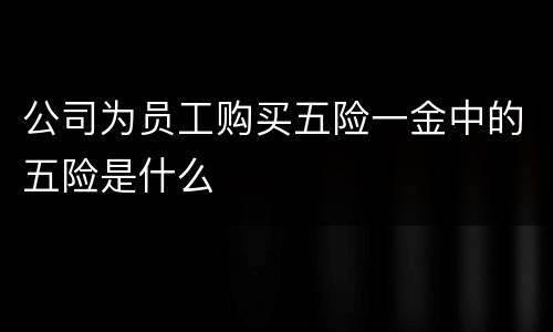 公司为员工购买五险一金中的五险是什么