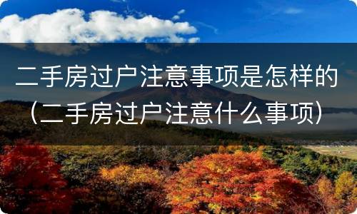 二手房过户注意事项是怎样的（二手房过户注意什么事项）