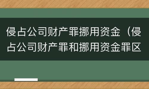 侵占公司财产罪挪用资金（侵占公司财产罪和挪用资金罪区别）