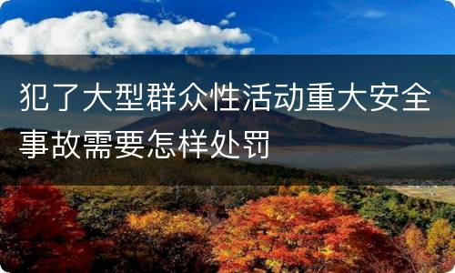 犯了大型群众性活动重大安全事故需要怎样处罚