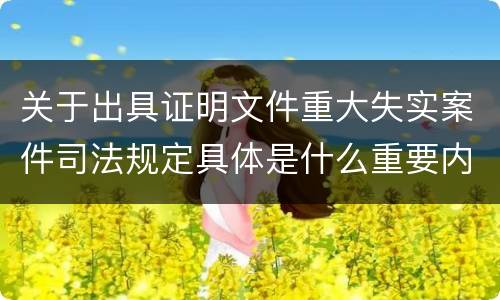 关于出具证明文件重大失实案件司法规定具体是什么重要内容