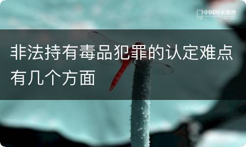 非法持有毒品犯罪的认定难点有几个方面