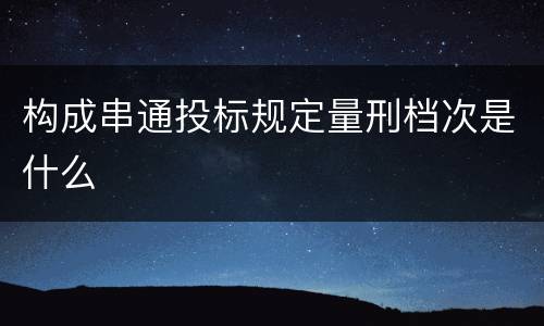 构成串通投标规定量刑档次是什么