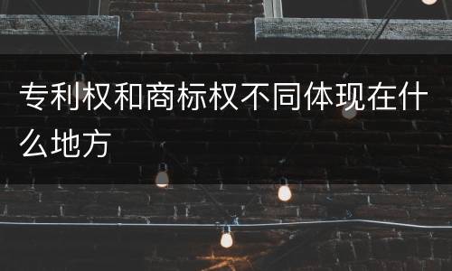 专利权和商标权不同体现在什么地方
