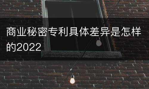 商业秘密专利具体差异是怎样的2022