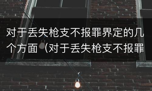 对于丢失枪支不报罪界定的几个方面（对于丢失枪支不报罪界定的几个方面问题）
