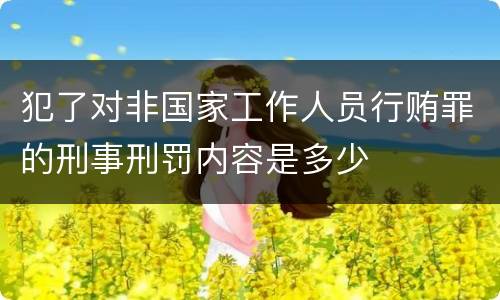 犯了对非国家工作人员行贿罪的刑事刑罚内容是多少