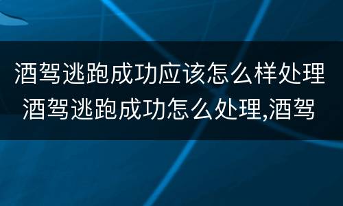 酒驾逃跑成功应该怎么样处理 酒驾逃跑成功怎么处理,酒驾本人应该怎么办
