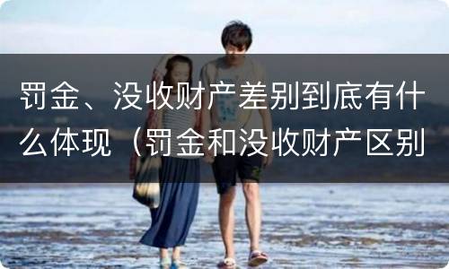 罚金、没收财产差别到底有什么体现（罚金和没收财产区别）