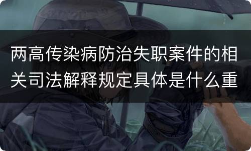 两高传染病防治失职案件的相关司法解释规定具体是什么重要内容