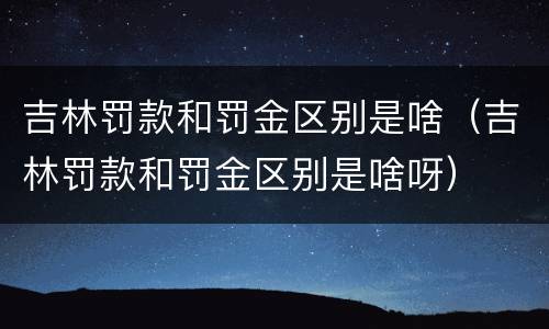 吉林罚款和罚金区别是啥（吉林罚款和罚金区别是啥呀）