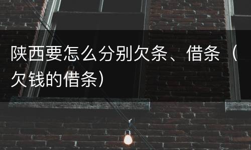 陕西要怎么分别欠条、借条（欠钱的借条）