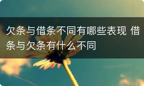 欠条与借条不同有哪些表现 借条与欠条有什么不同