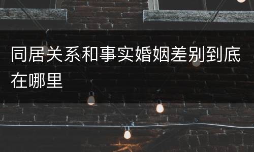 同居关系和事实婚姻差别到底在哪里