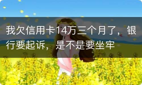 我欠信用卡14万三个月了，银行要起诉，是不是要坐牢