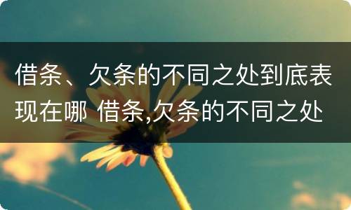 借条、欠条的不同之处到底表现在哪 借条,欠条的不同之处到底表现在哪方面