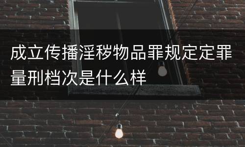 成立传播淫秽物品罪规定定罪量刑档次是什么样