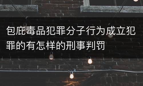 包庇毒品犯罪分子行为成立犯罪的有怎样的刑事判罚