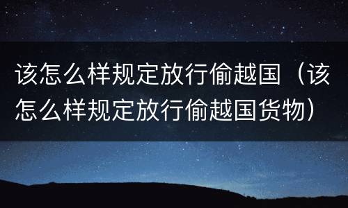 该怎么样规定放行偷越国（该怎么样规定放行偷越国货物）