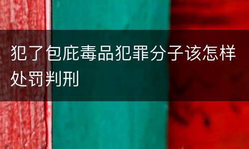 犯了包庇毒品犯罪分子该怎样处罚判刑