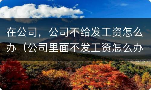 在公司，公司不给发工资怎么办（公司里面不发工资怎么办）