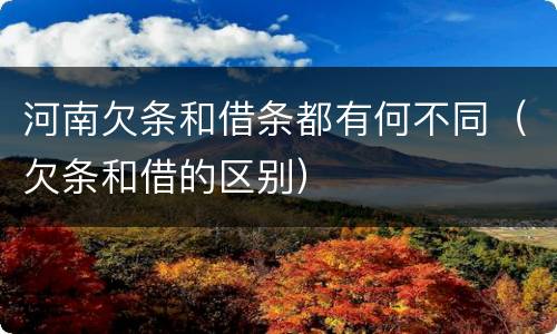 河南欠条和借条都有何不同（欠条和借的区别）