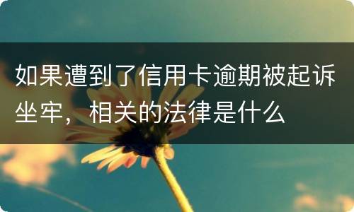 如果遭到了信用卡逾期被起诉坐牢，相关的法律是什么