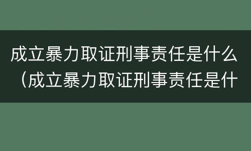 成立暴力取证刑事责任是什么（成立暴力取证刑事责任是什么罪）
