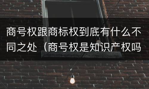 商号权跟商标权到底有什么不同之处（商号权是知识产权吗）