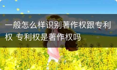 一般怎么样识别著作权跟专利权 专利权是著作权吗
