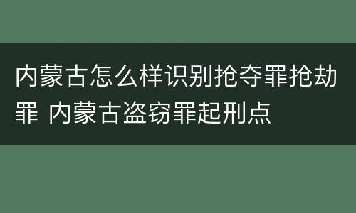 内蒙古怎么样识别抢夺罪抢劫罪 内蒙古盗窃罪起刑点