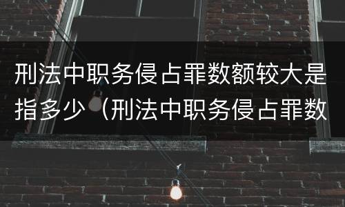 刑法中职务侵占罪数额较大是指多少（刑法中职务侵占罪数额较大是指多少条）